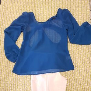 Blue Blouse